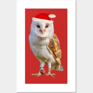 Christmas Barn Owl Posters and Art